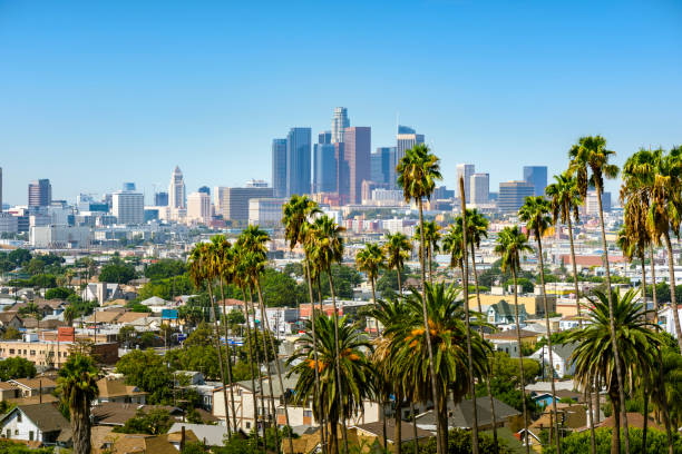 Los Angeles, California, USA downtown skyline and palm trees in foreground