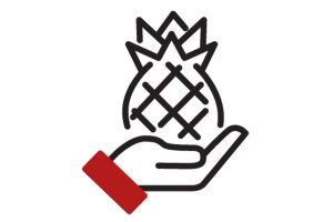hand holding pineapple illustration