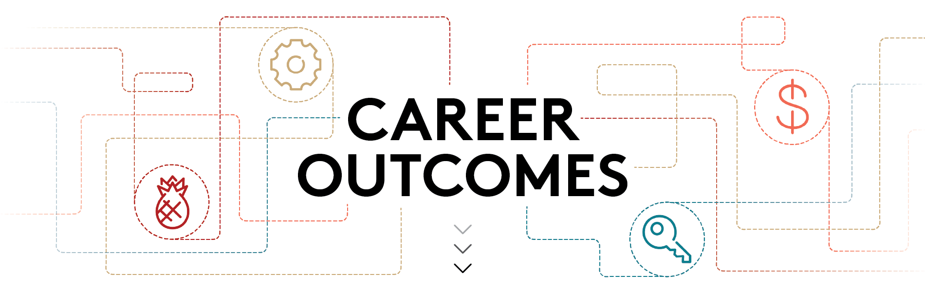 career outcomes 