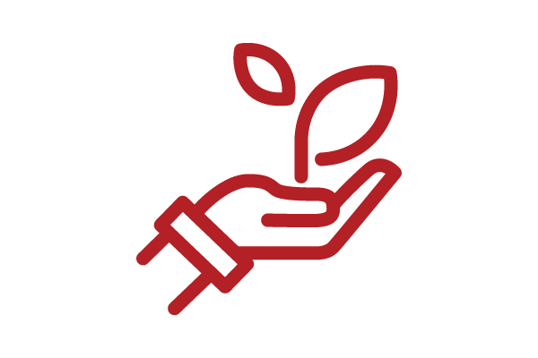 Hand holding a plant
