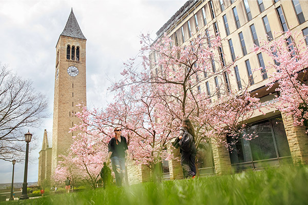 Image of the Cornell clocktower in the spring time