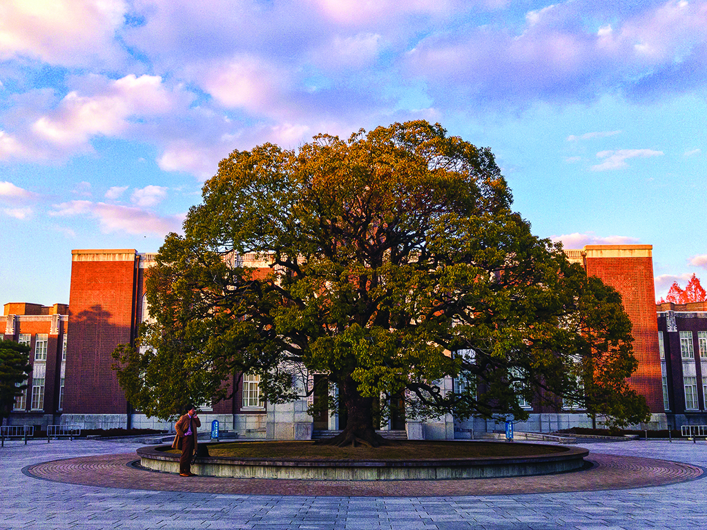 Facade of Kyoto University with a large tree in front of the building.