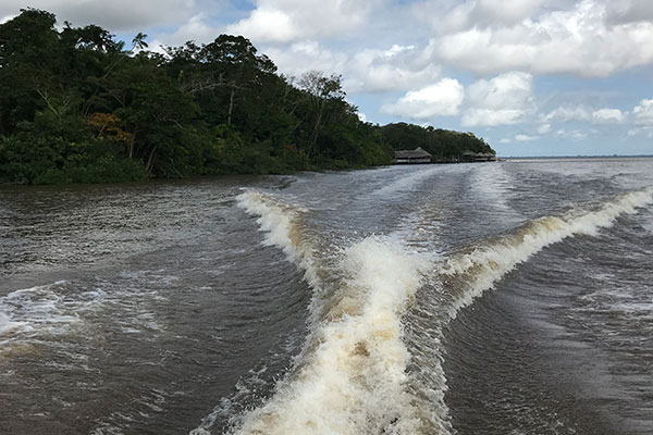 A wide body of water with land and trees on one side and the wake of a boat running down the middle.