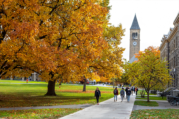 A view of McGraw Tower from the Arts Quad in fall.