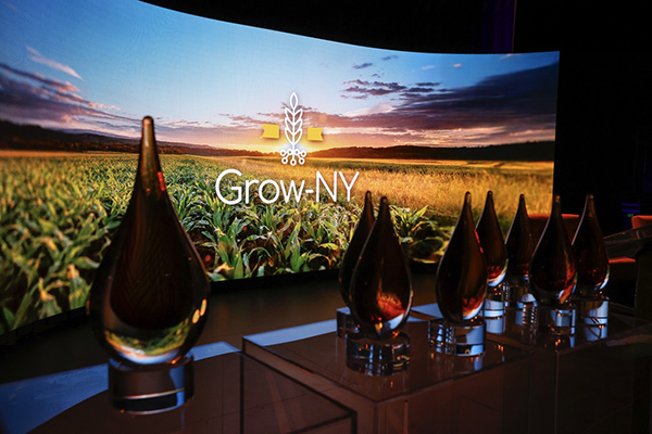 PowerPoint presentation slide with trophies