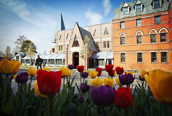 Tulips outside Sage Hall in spring.